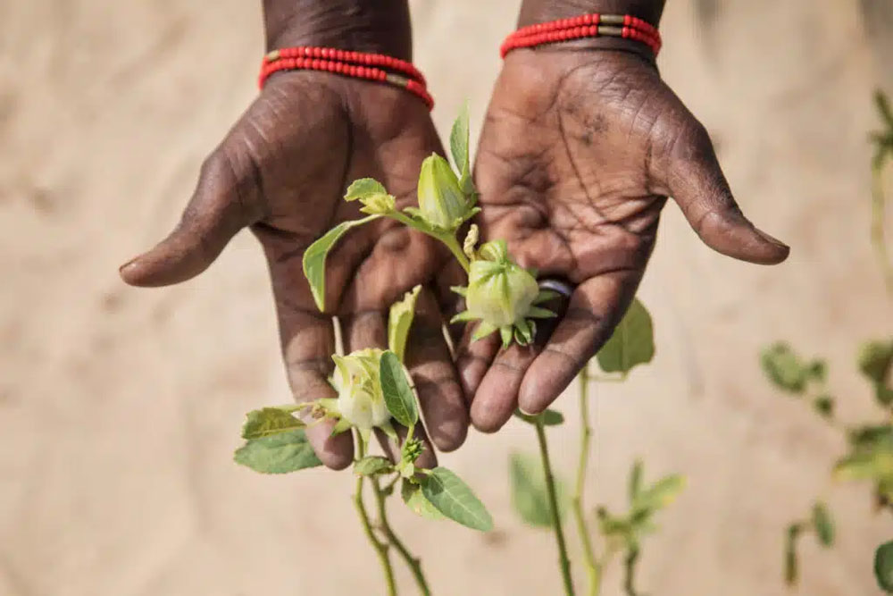 soiree-eglise_verte-pornic_header