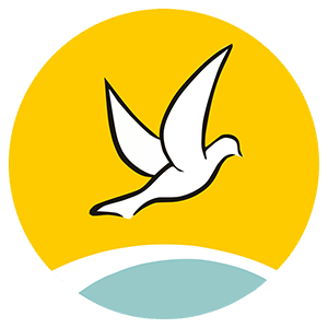 CVX-en-France_logo_300