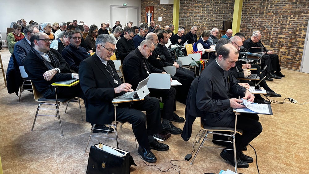 tressaint_20260209-10_01_header